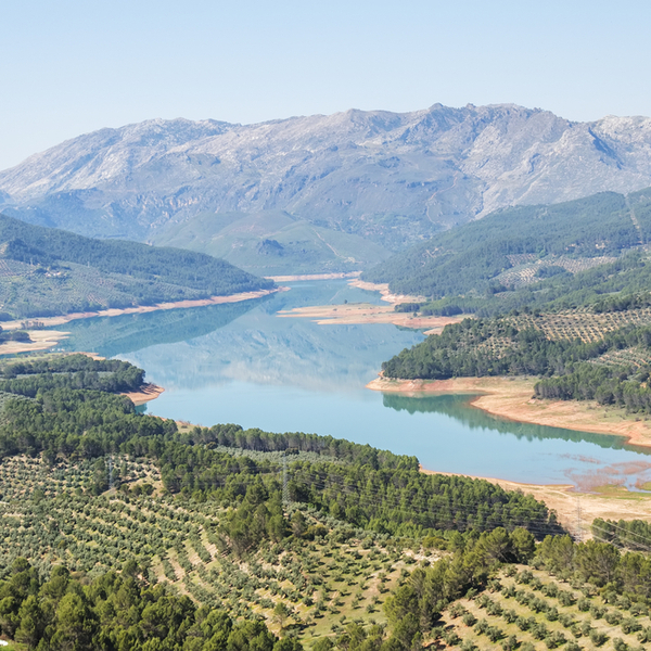 GR247-Bosques del Sur