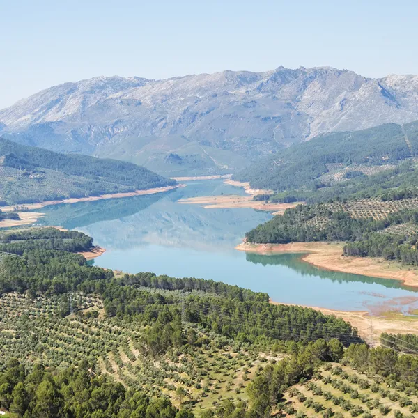 GR247-Bosques del Sur