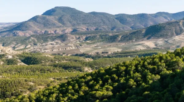 Paysage
