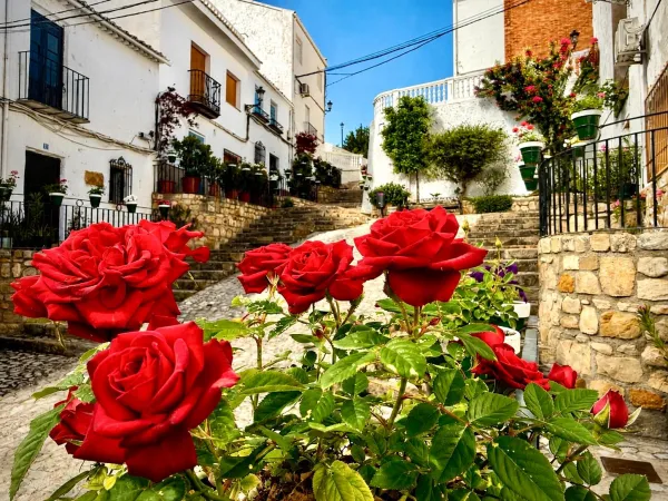 Imagen del municipio