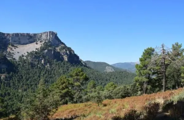 47. Cortafuegos y otros