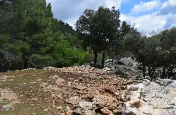 48. Salegas