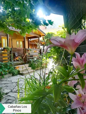 Cabañas Los Pinos Cabin Apartments