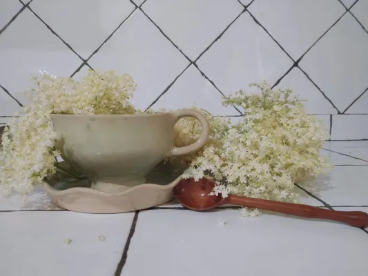 Natural ointments workshop at Cortijo El Soto