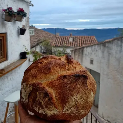 Panadería Panciencia