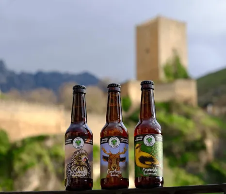 Cervezas La Yedra