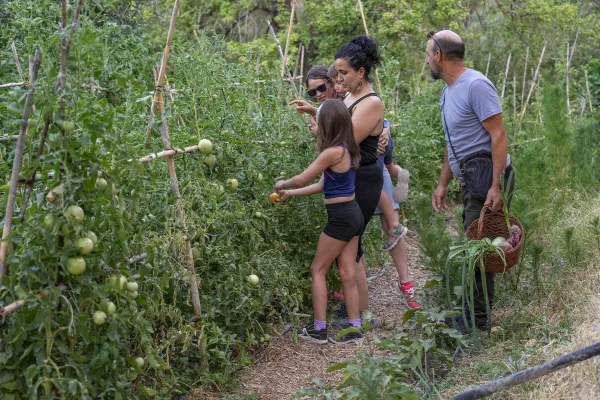 Huerta ecológica El Reventón