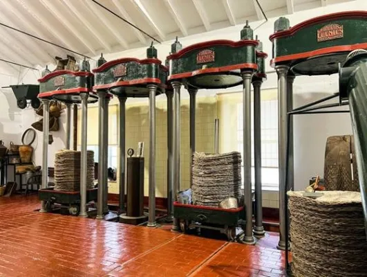 Oleícola San Francisco, almazara turística