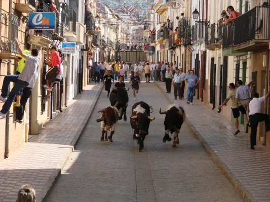 Fiestas de San Juan