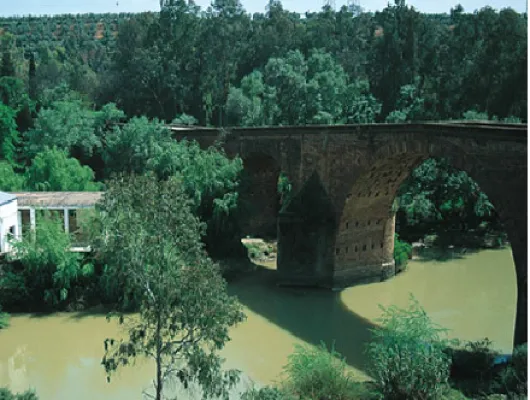 Pont Renaissance