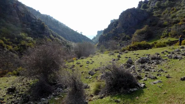 Navalta y Navalconejo