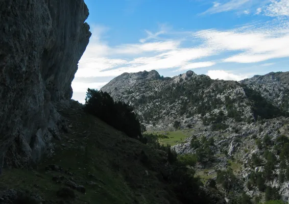 The Hanging Gardens: La Vegetación de Las Rocas