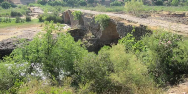 Mocho Bridge