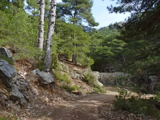 ÉTAPE 12: Refuge Màison forestière Collàdo Zàmorà - Belerdà