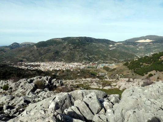 Colada de Valdepeñas