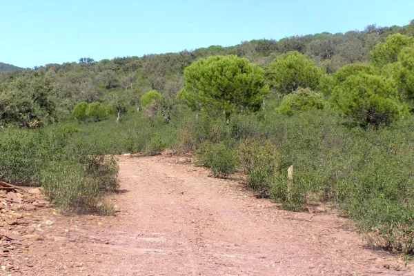 Trail Empedraillo