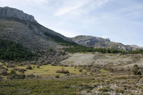 Trail Ascent to Hoando de la Laguna