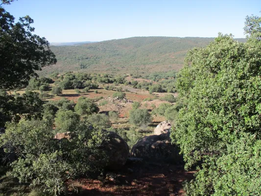 Pista Forestal hacia Prado de Juan Ruiz
