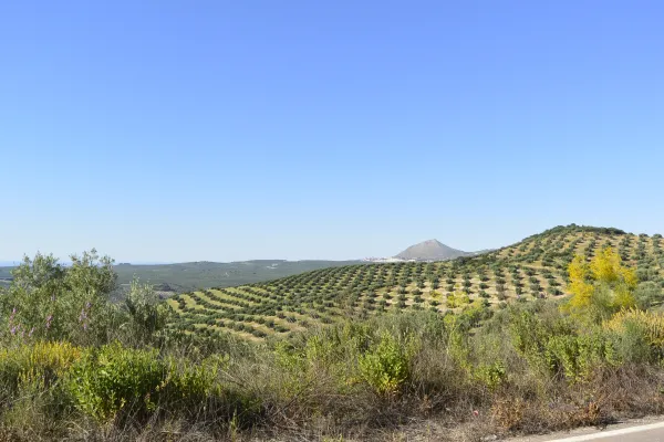 carretera oleotour