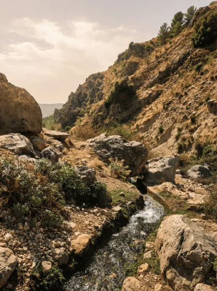 R7-SIERRA MAGINA.jpg