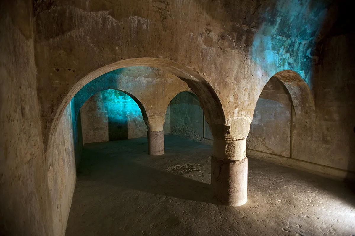 castillo arjona