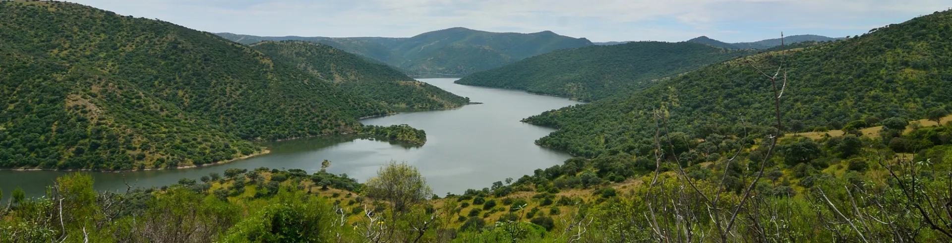 Cabecera-PN-SierraAndujar