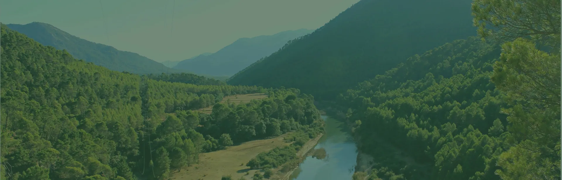 bg-cazorla