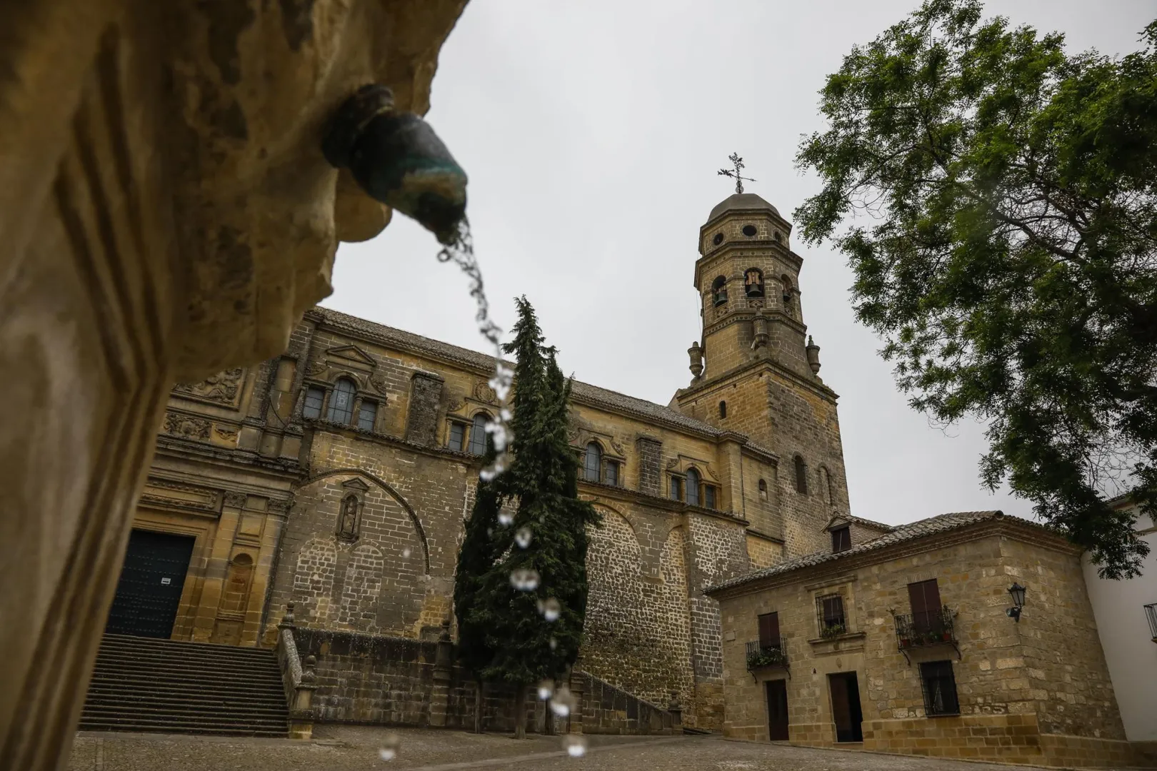 Baeza Catedral