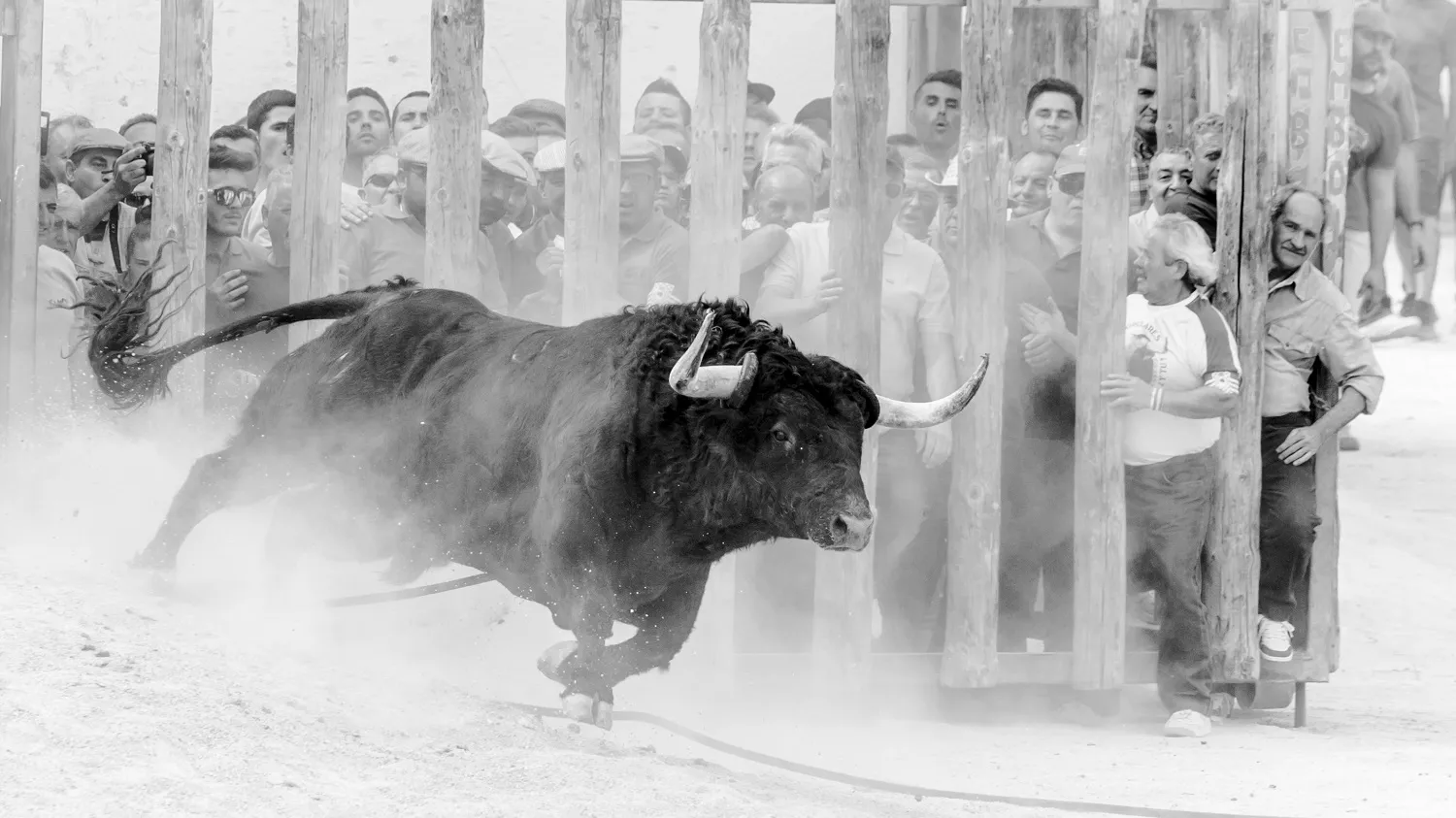 cultura del toro