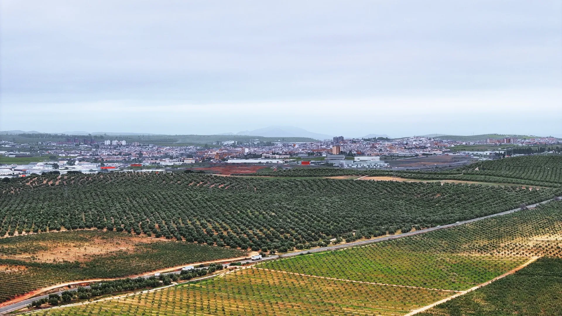 Linares