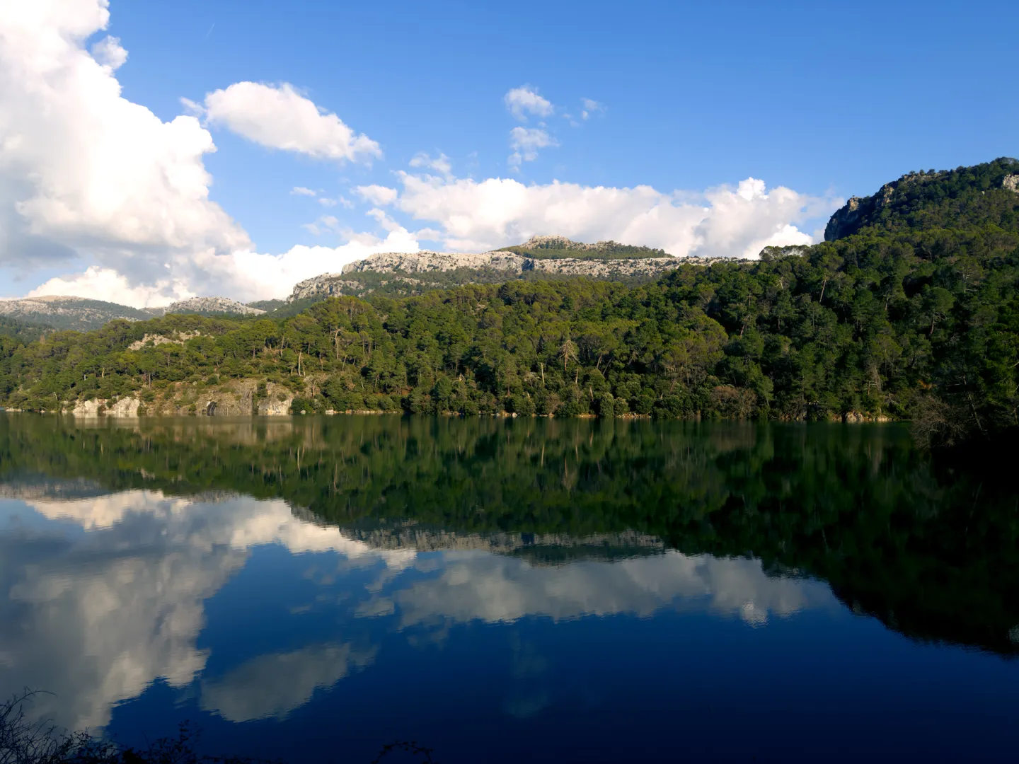 Villacarrillo