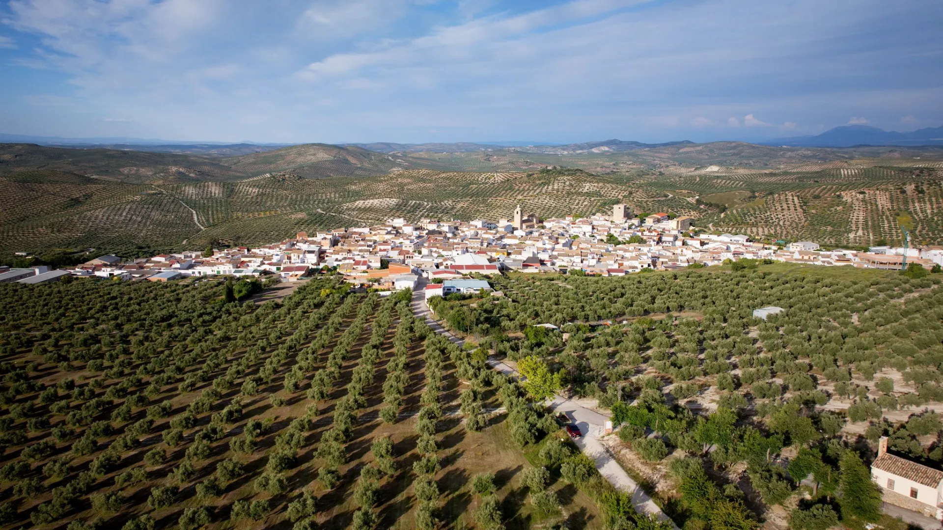 Villardompardo