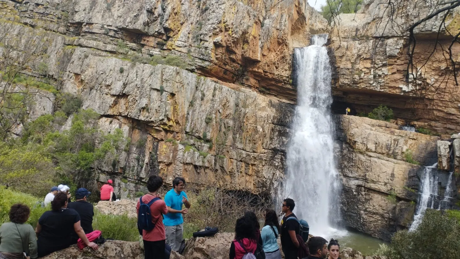 Tourlynx