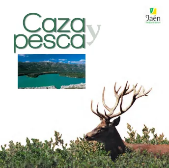caza-pesca%20%286%29.png