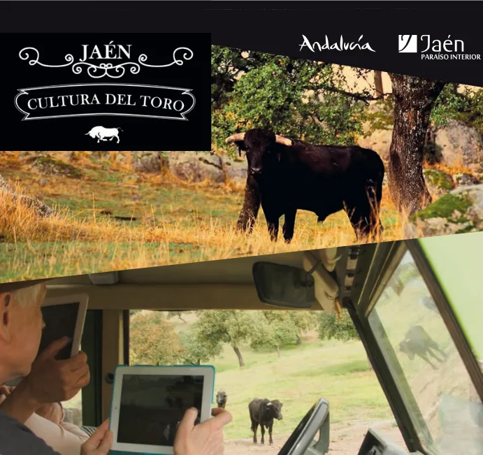 portada_toro.png