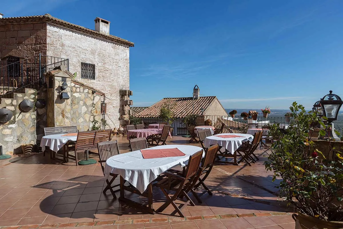 olivar1-jpg