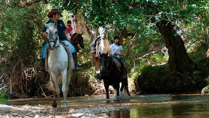 Turismo%20Activo%20Picadero%20El%20Cortijillo2.jpg