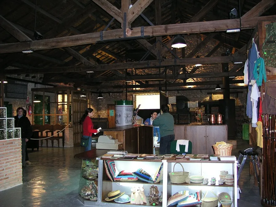 P1010009.JPG