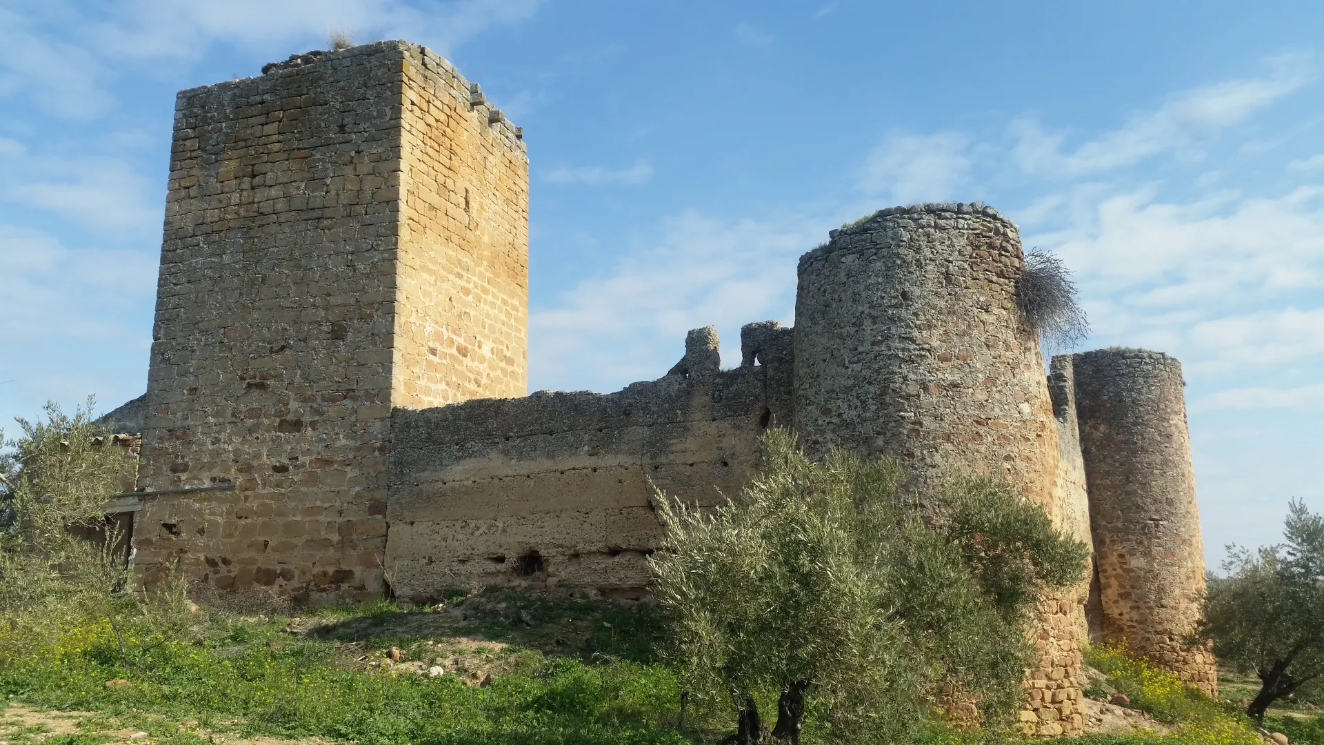 castillo-de-la-aragonesa-1-jpg