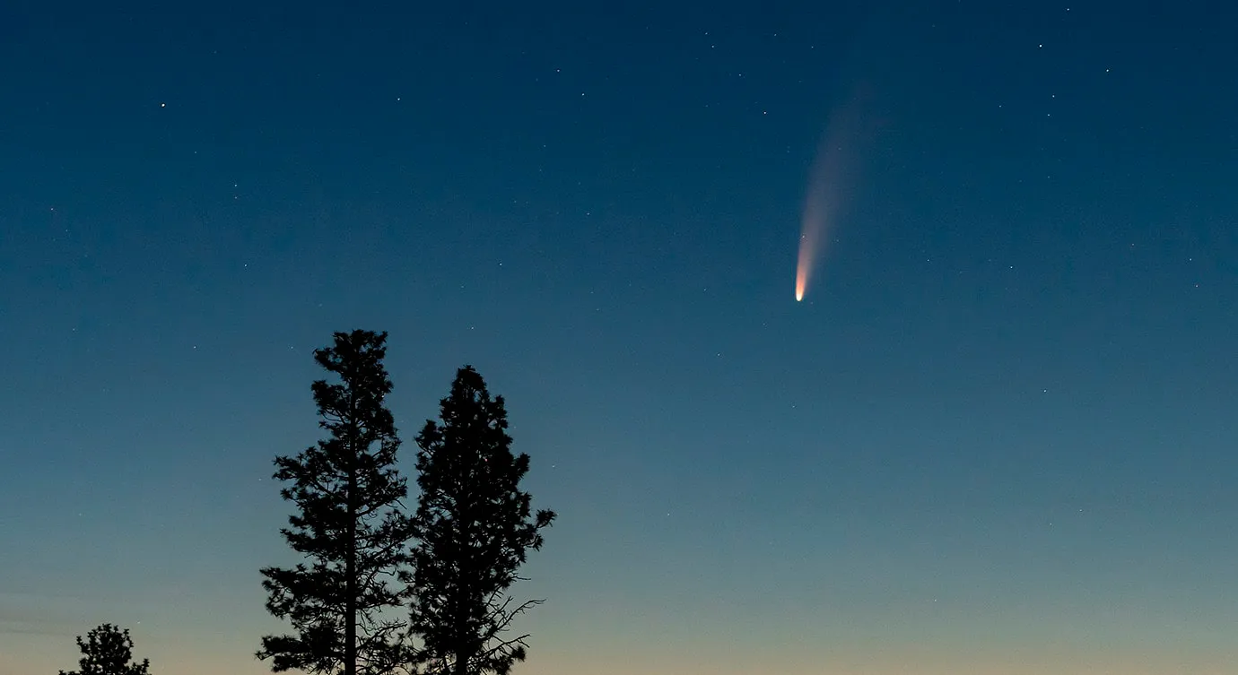 C-2020-F3-Neowise-blog.png