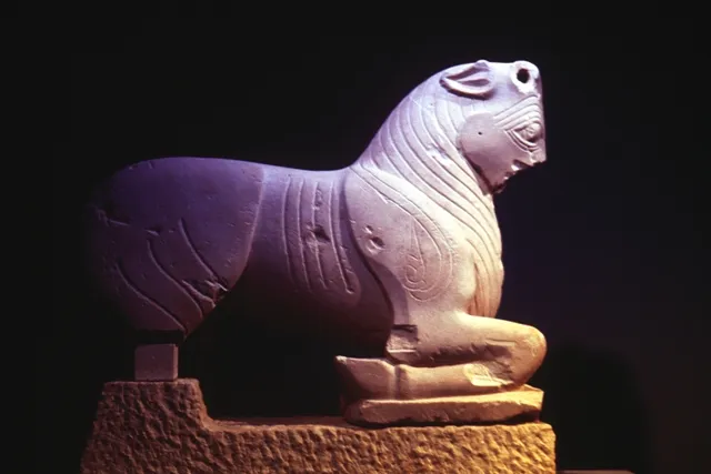 museo%20arqueologico%20Cerrillo%20Blanco.jpeg