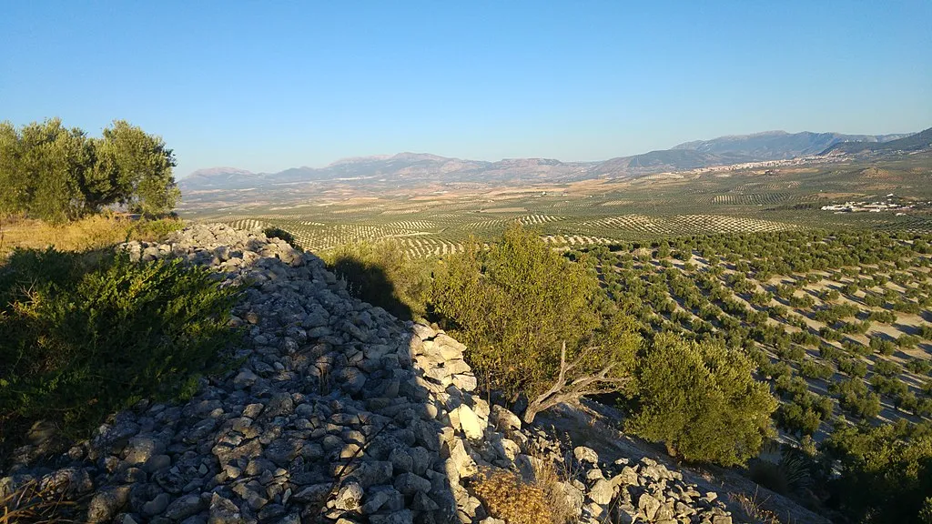 Yacimiento_de_las_Atalayuelas.jpg