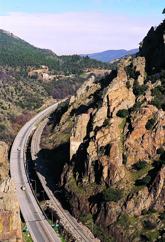 Natu140.jpg
