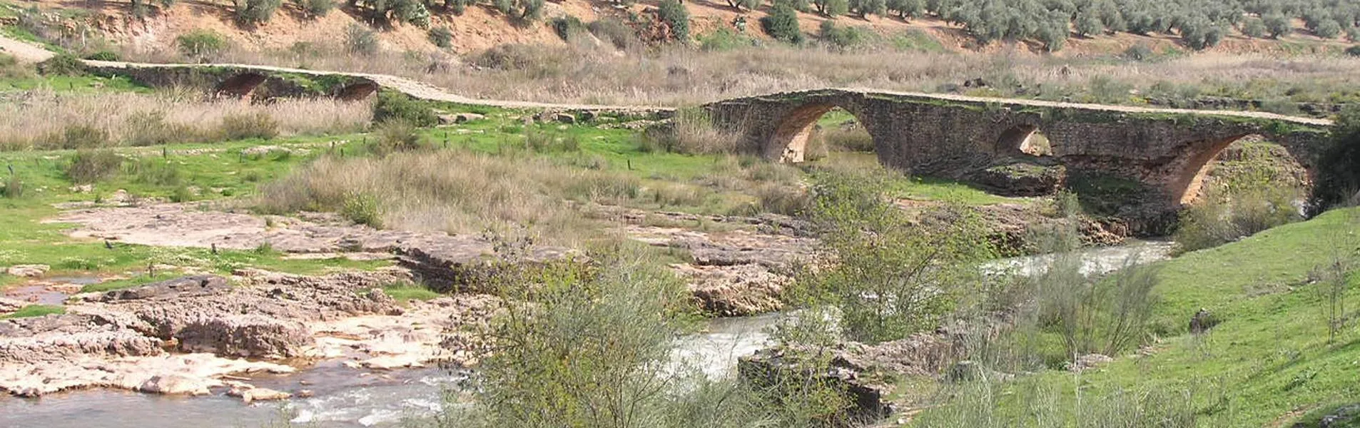 YACIMIENTO%20ARQUEOL%C3%93GICO%20TERRAZAS%20DEL%20GUADALIMAR%20PUENTE%20MOCHO.jpg