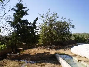 fuente%20del%20ayozar2.jpg