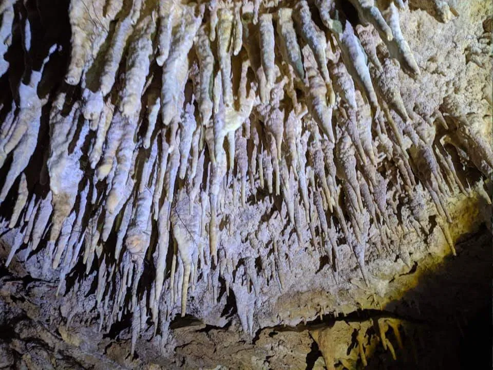 espeleologia_cazorla-2.jpeg