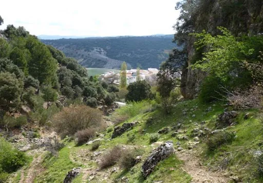 avellanares%20%282%29.jpg