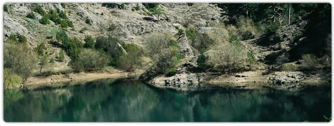 587_img.png