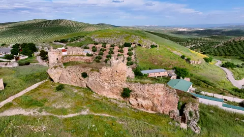 CyB_Torredelcampo_01