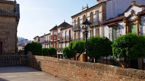 Arjonilla